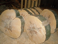 neštípané bukové dřevo