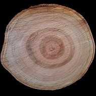 třešňové dřevo