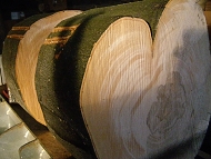 čerstvé bukové dřevo s vysokým obsahem vody